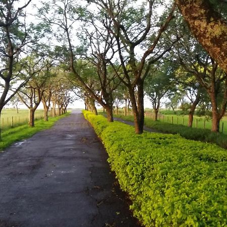 Estancia Timbauva 乌鲁瓜亚纳 外观 照片