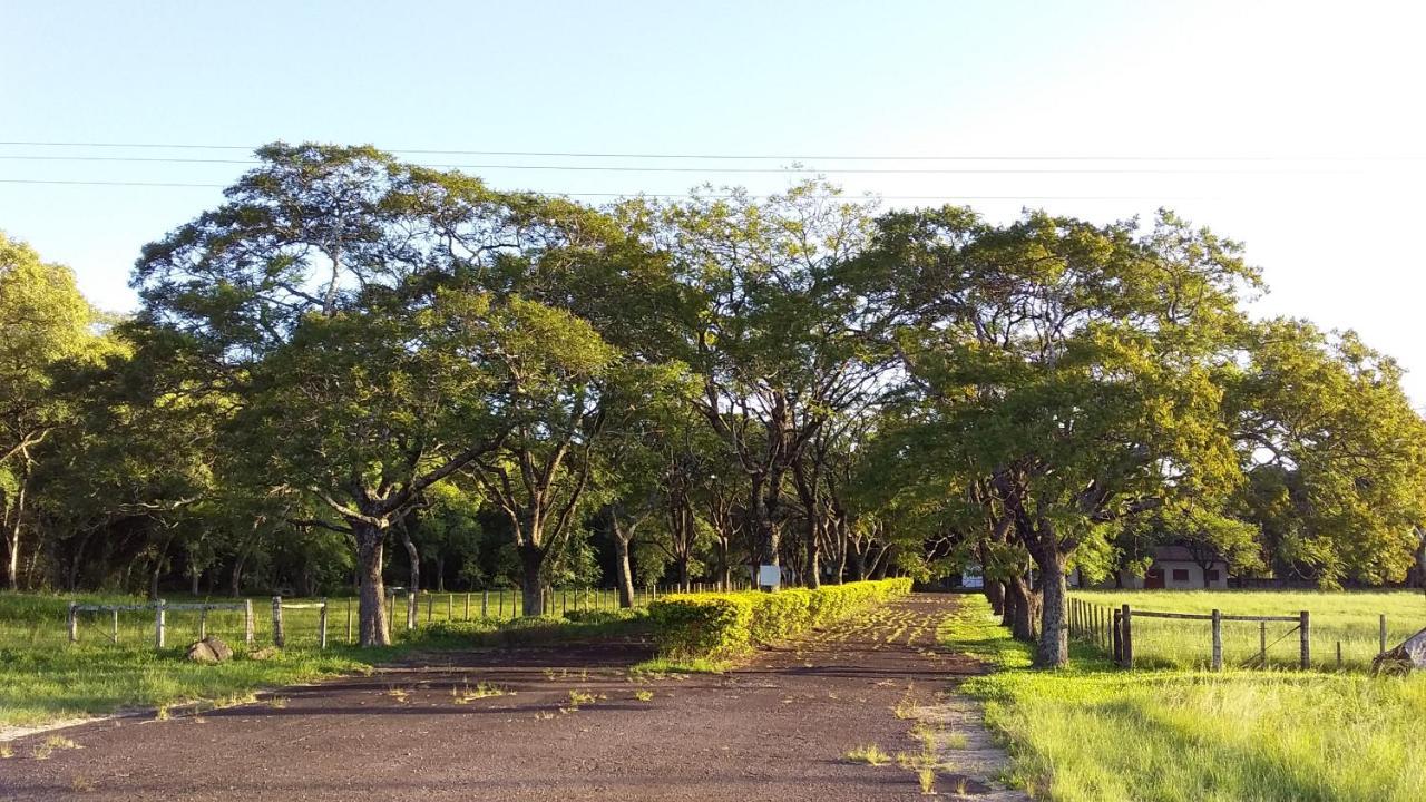Estancia Timbauva 乌鲁瓜亚纳 外观 照片